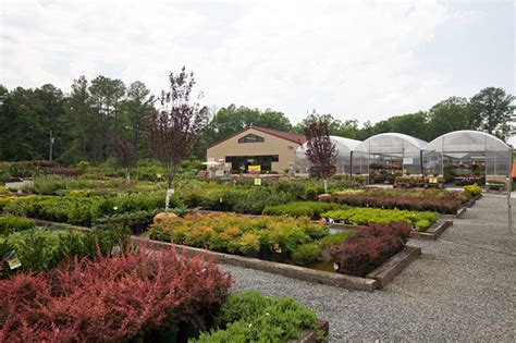 Meadows farms nursery - Meadows Farms - Products. Online shop now open! Stay tuned for more exciting products, added weekly! Meadows Farms Shop; Locations; Deals; Services; Events; Contact Us; Gift Cards; Shopping at Great Big Greenhouse 7 Corners ...